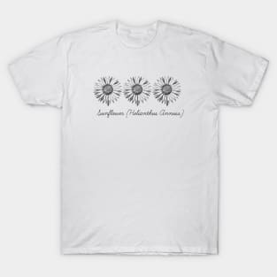 Sunflower Scientific Name T-Shirt